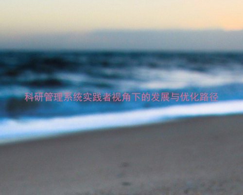 科研管理系统实践者视角下的发展与优化路径