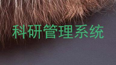 科研管理系统