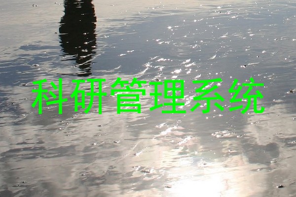 科研管理系统