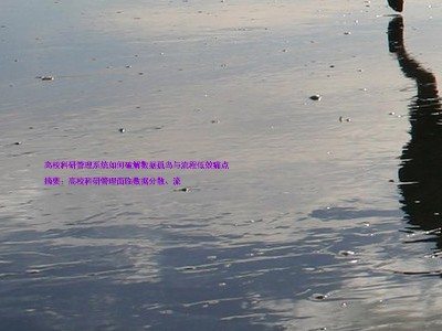 高校科研管理系统如何破解数据孤岛与流程低效痛点
摘要:高校科研管理面临数据分散、流