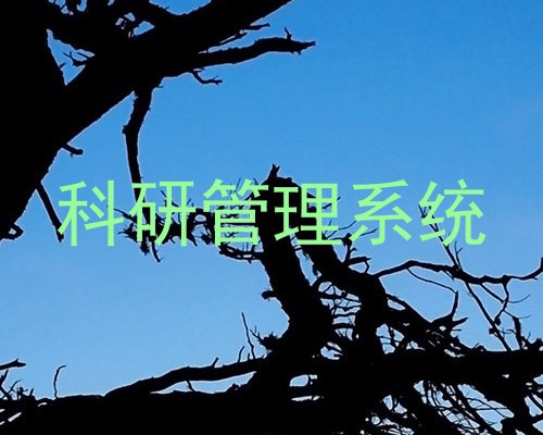 科研管理系统