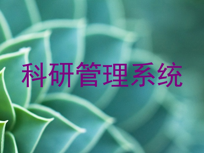 科研管理系统