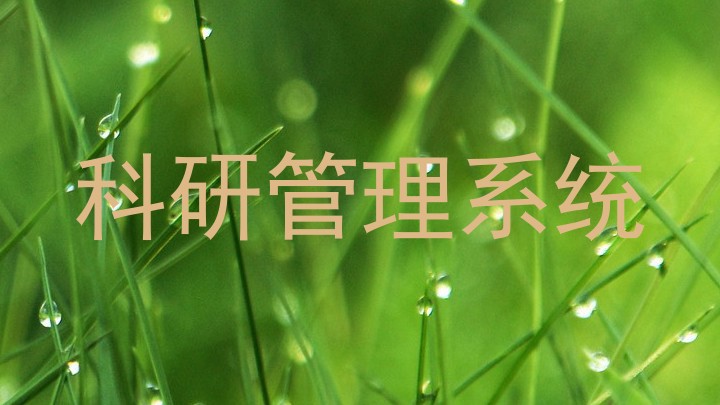 科研管理系统