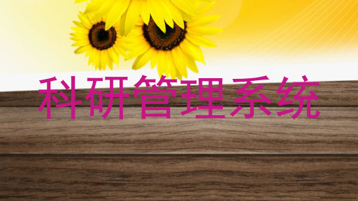 科研管理系统