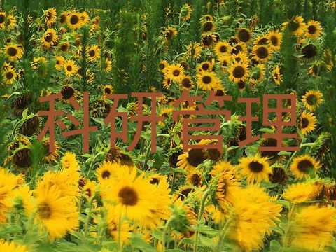 科研管理