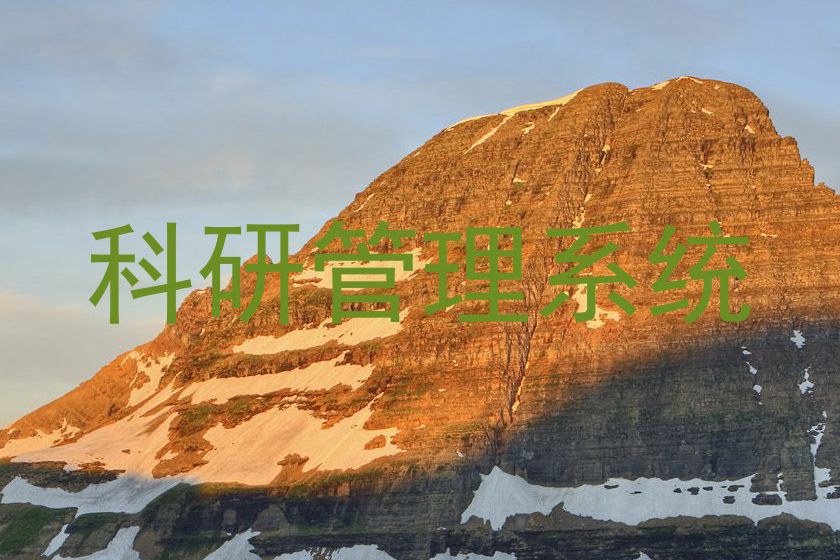 科研管理系统