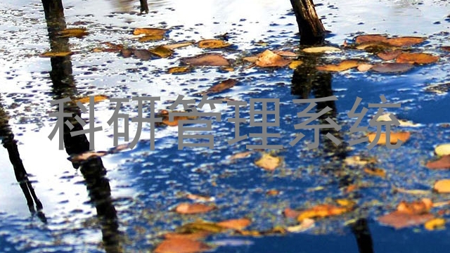 科研管理系统