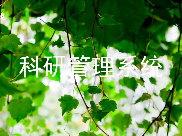 科研管理系统