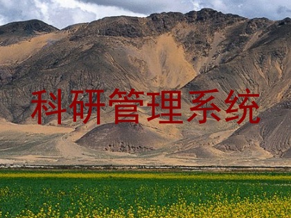 科研管理系统
