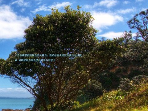 10个科研管理系统选型关键点:高校信息化建设的痛点与对策
## 科研管理系统选型的背景与现状分