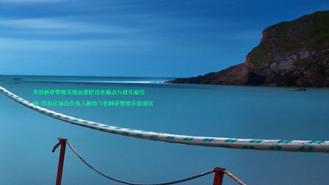 高校科研管理系统运维阶段的痛点与优化路径  

## 信息化项目负责人视角下的科研管理系统现状