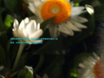 高校科研管理系统优化:数据孤岛与流程低效的破局之道
摘要:科研管理系统在高校中承担着重