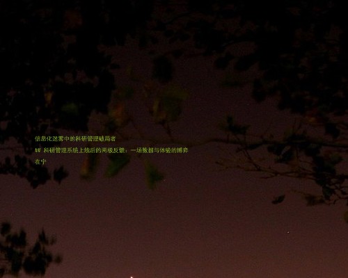 信息化迷雾中的科研管理破局者
## 科研管理系统上线后的两极反馈:一场数据与体验的博弈
在宁