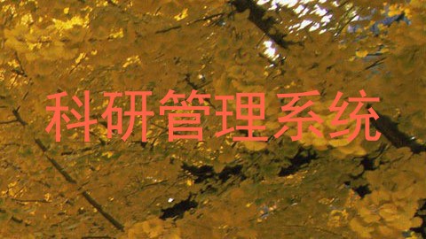 科研管理系统