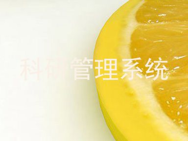 科研管理系统