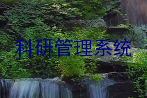 科研管理系统