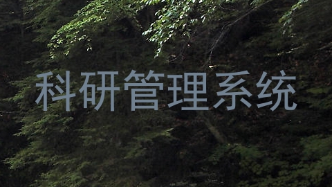 科研管理系统