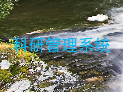 科研管理系统