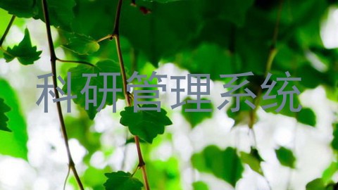 科研管理系统