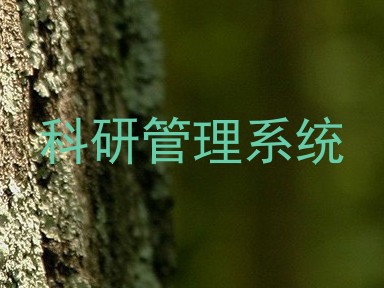 科研管理系统