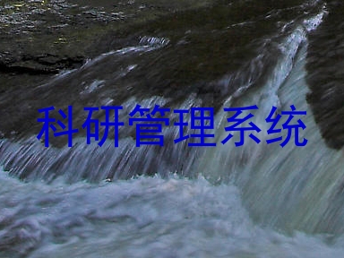 科研管理系统