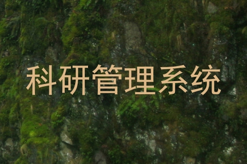 科研管理系统