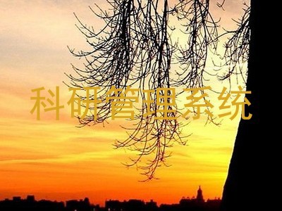 科研管理系统