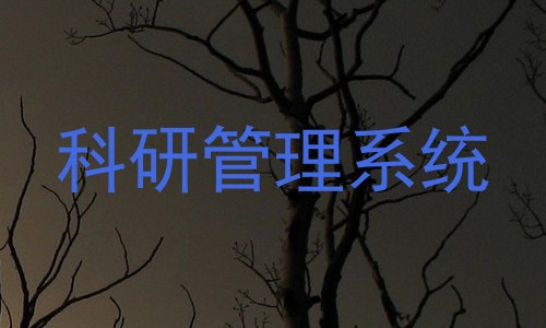 科研管理系统