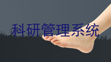 科研管理系统