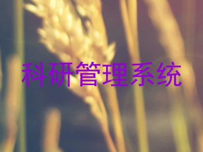 科研管理系统