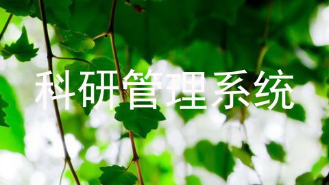 科研管理系统