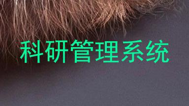 科研管理系统