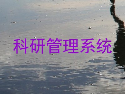 科研管理系统