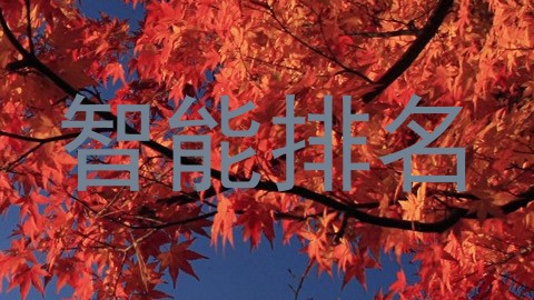 智能排名