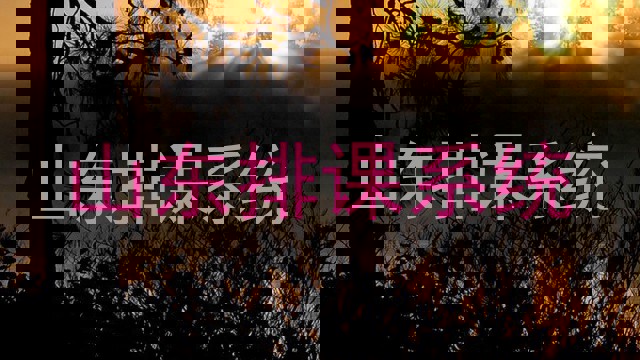 山东排课系统