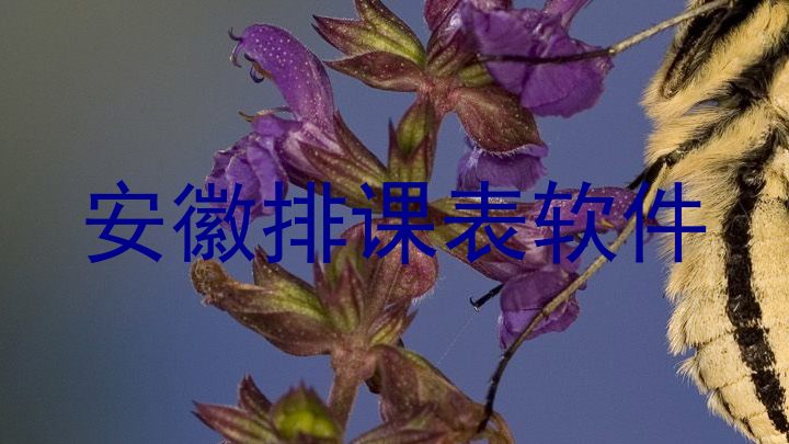 安徽排课表软件