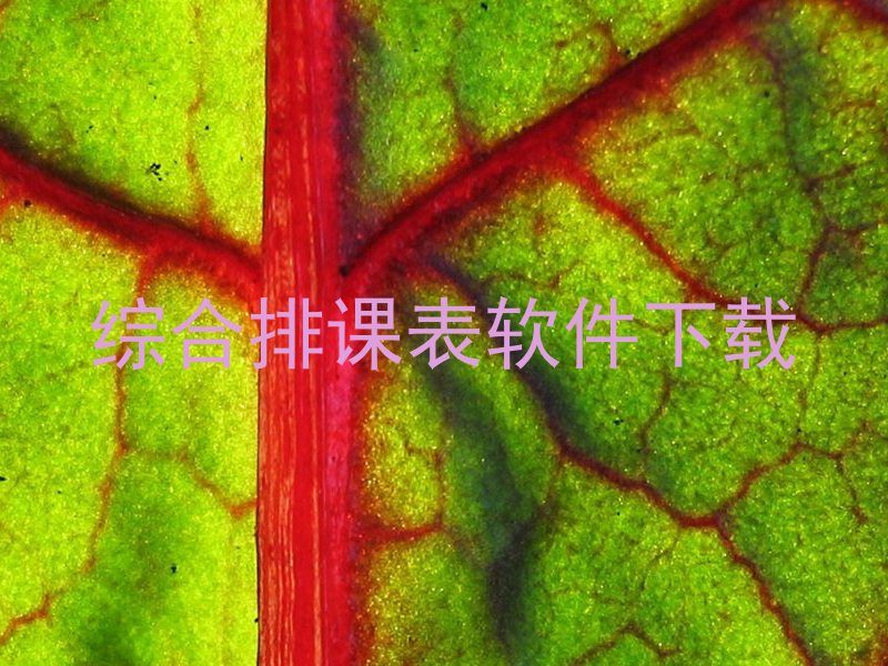 综合排课表软件下载