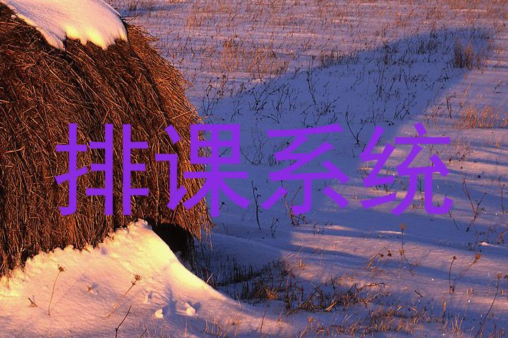 排课系统