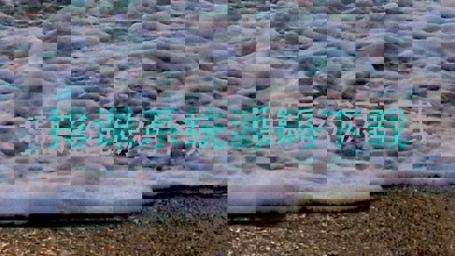 排课系统源码下载