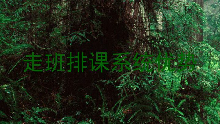 走班排课系统优势