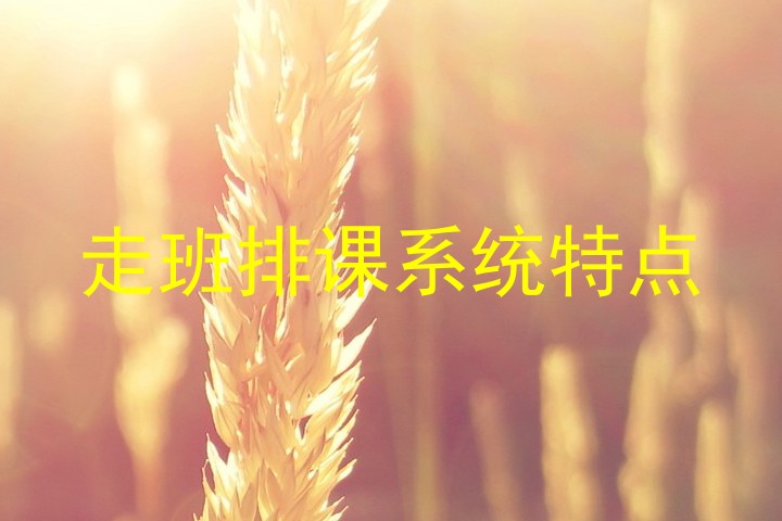 走班排课系统特点