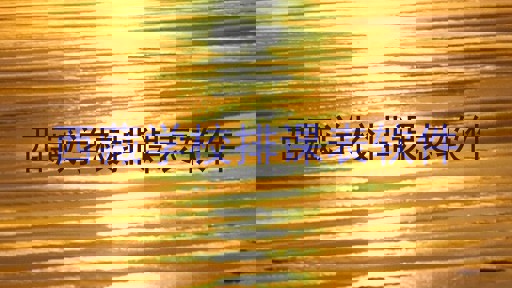西藏学校排课表软件
