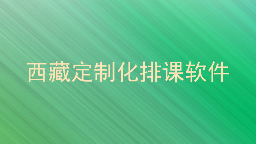 西藏定制化排课软件