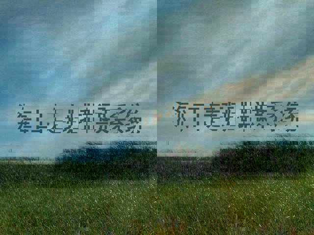 海口走班排课系统