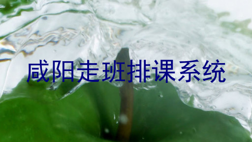 咸阳走班排课系统