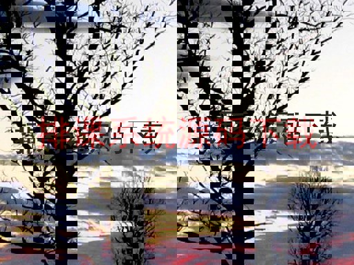 排课系统源码下载