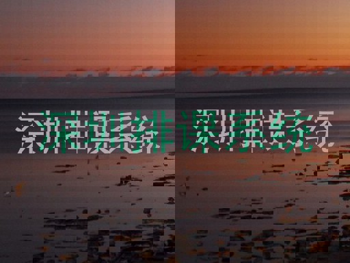 深圳排课系统