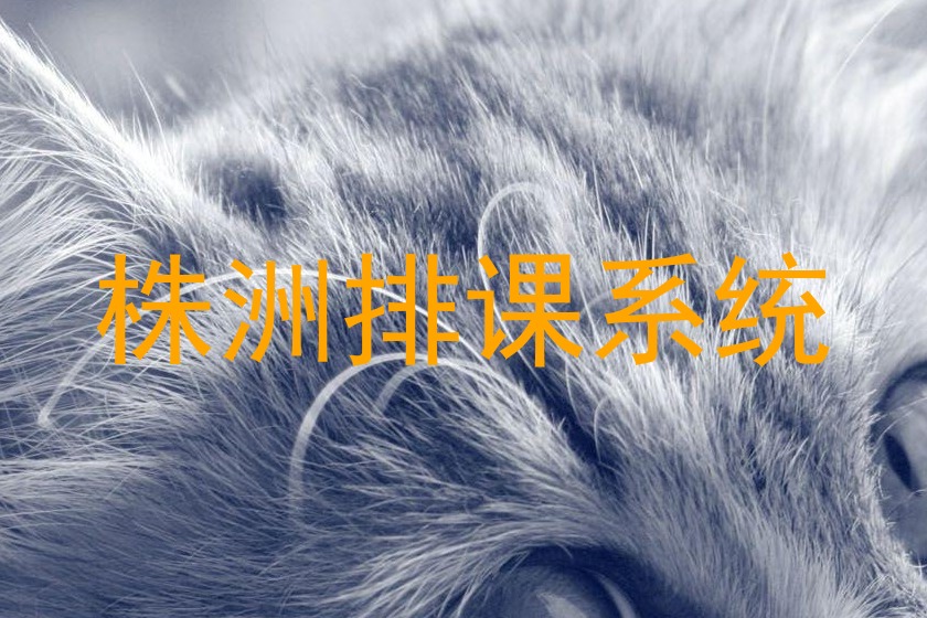 株洲排课系统