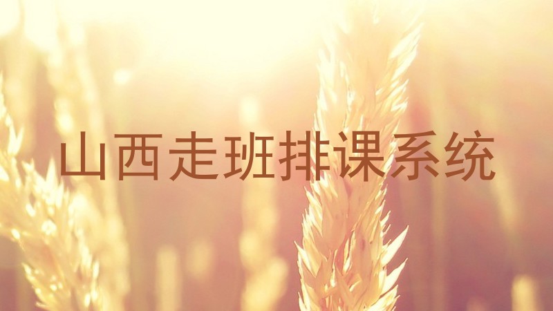 山西走班排课系统