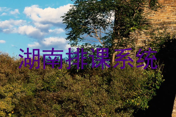 湖南排课系统